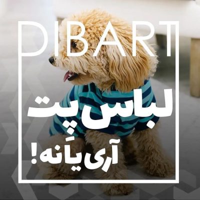 لباس برای حیوانات خانگی