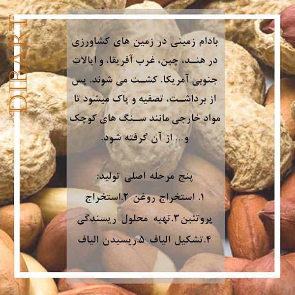 الیاف بادام زمینی