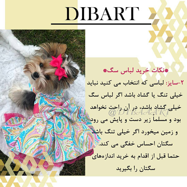 ویژگی های لباس حیوانات خانگی