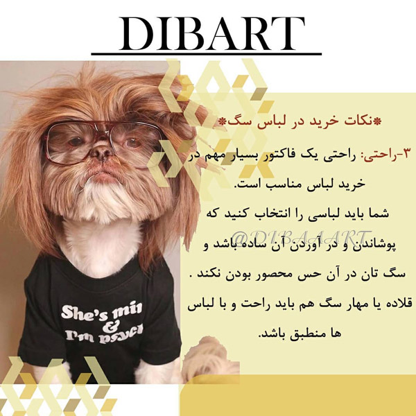 ویژگی های لباس حیوانات خانگی