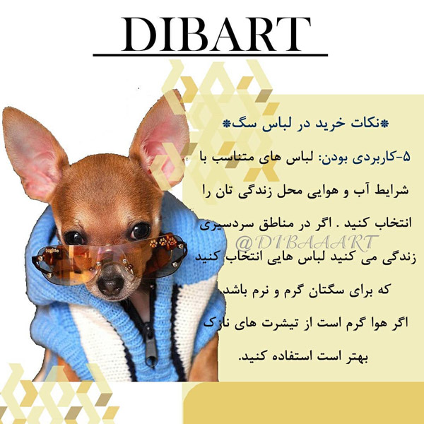 ویژگی های لباس حیوانات خانگی