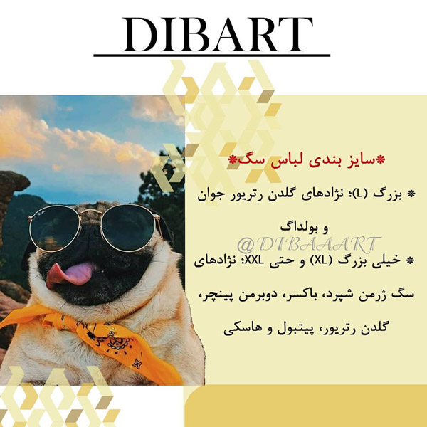 ویژگی های لباس حیوانات خانگی