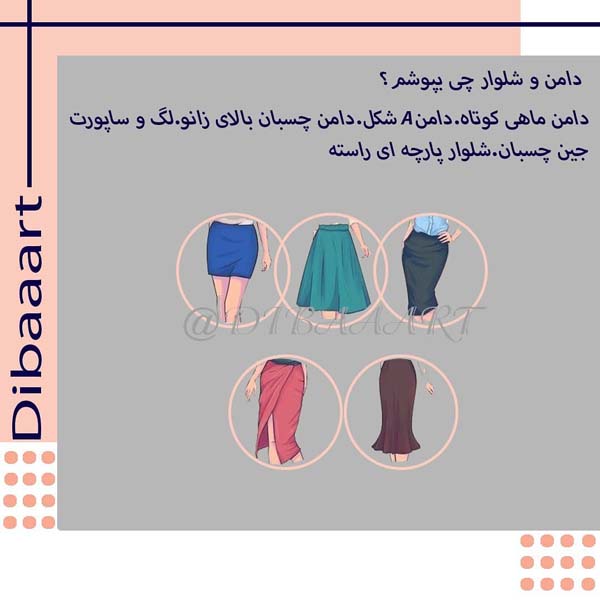 اندام ساعت شنی