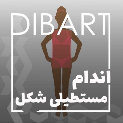 اندام مستطیلی شکل