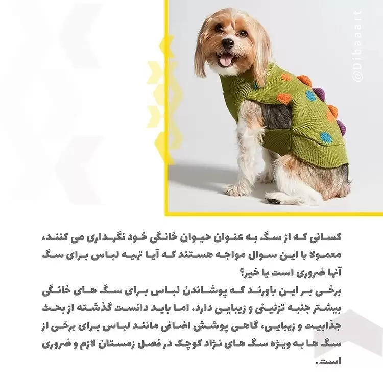 لباس برای حیوانات خانگی