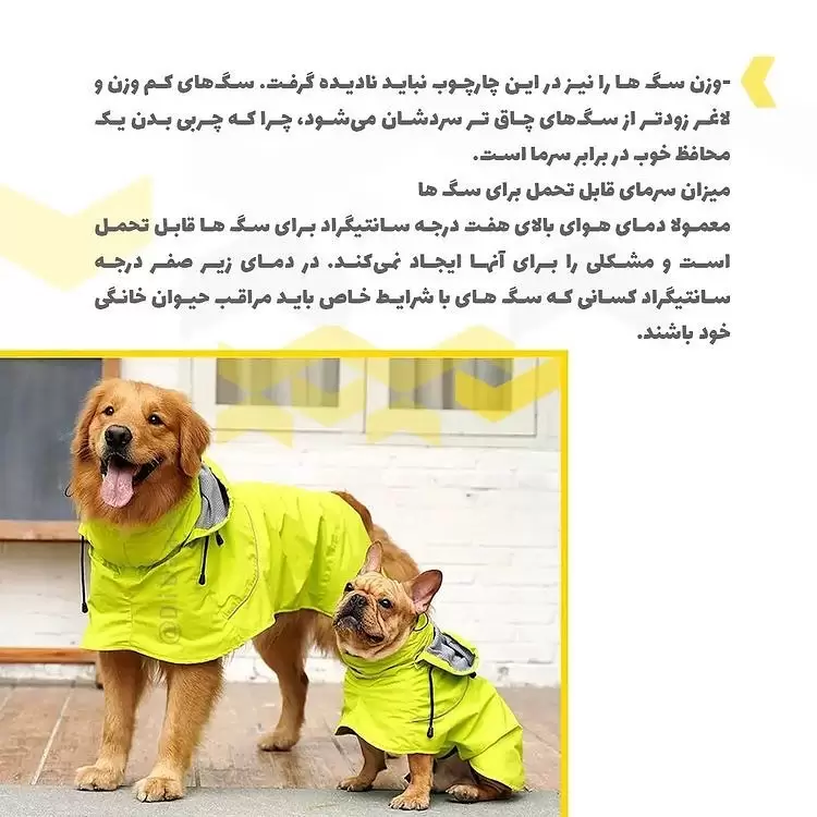 لباس برای حیوانات خانگی