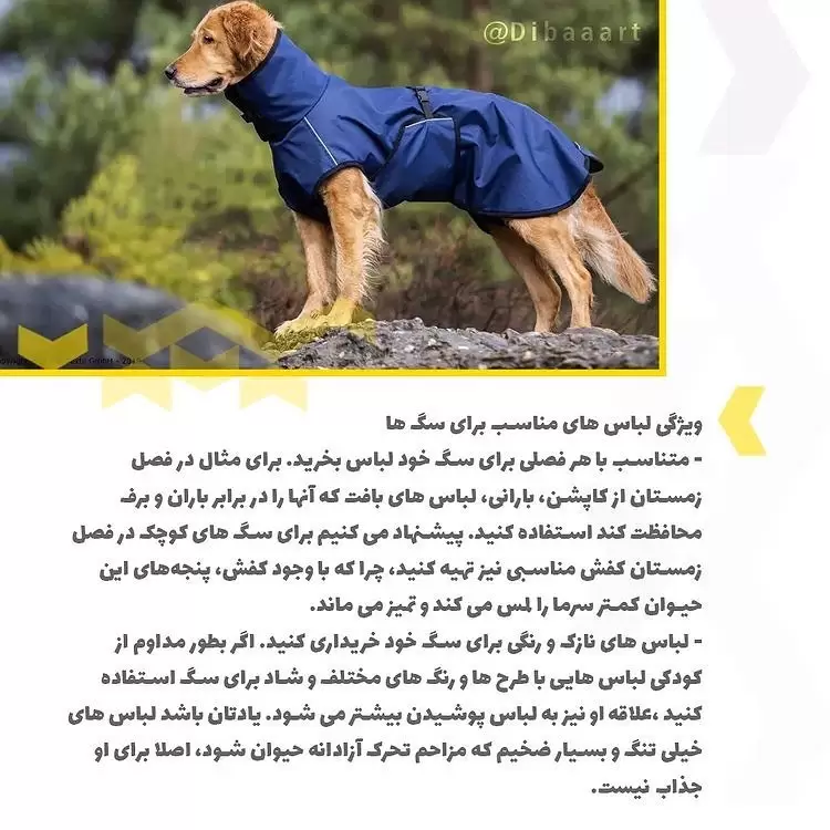 لباس برای حیوانات خانگی