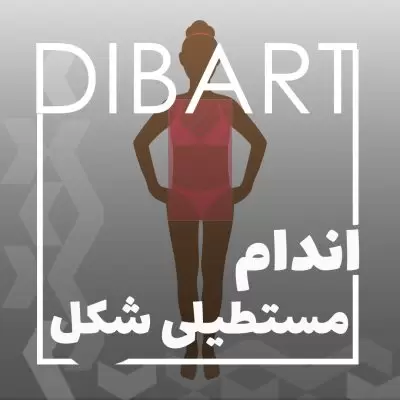 اندام مستطیلی شکل